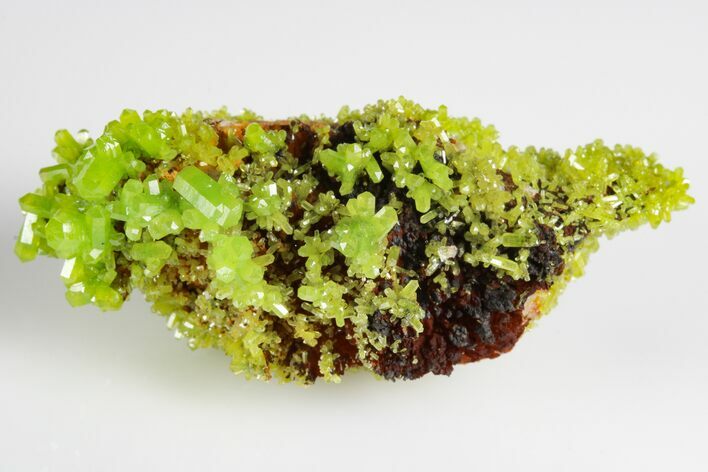 Apple-Green Pyromorphite Crystal Cluster - China #179817